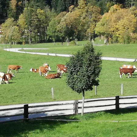 Unterbering Apartmán Söll