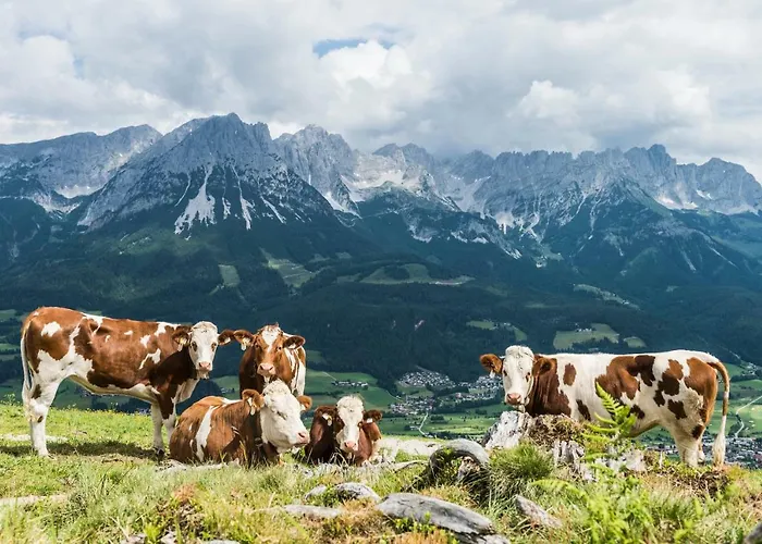 Unterbering Apartamento *