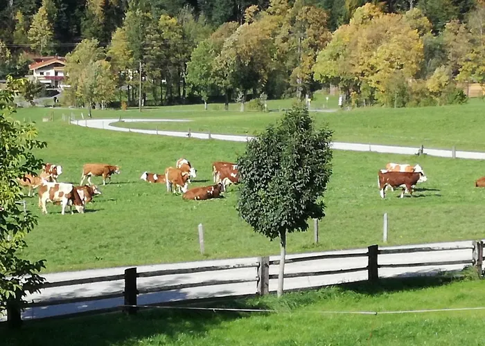 Unterbering Lägenhet Söll
